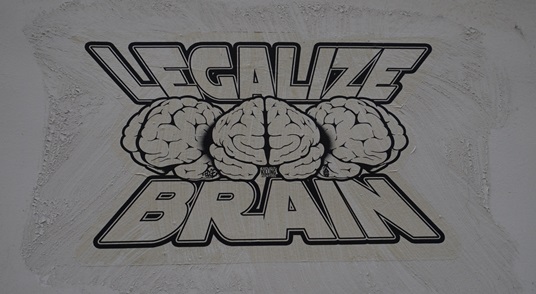 Streetart_Butte-aux-Cailles_20150118 (2)-b