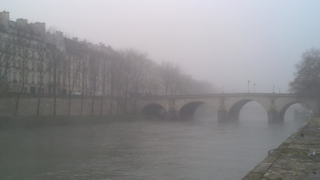 Seine_20151127 (2)
