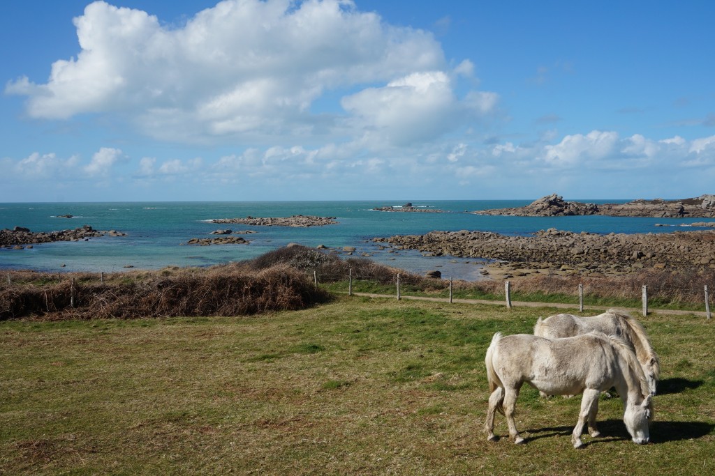 Landrellec_20160409 (7)