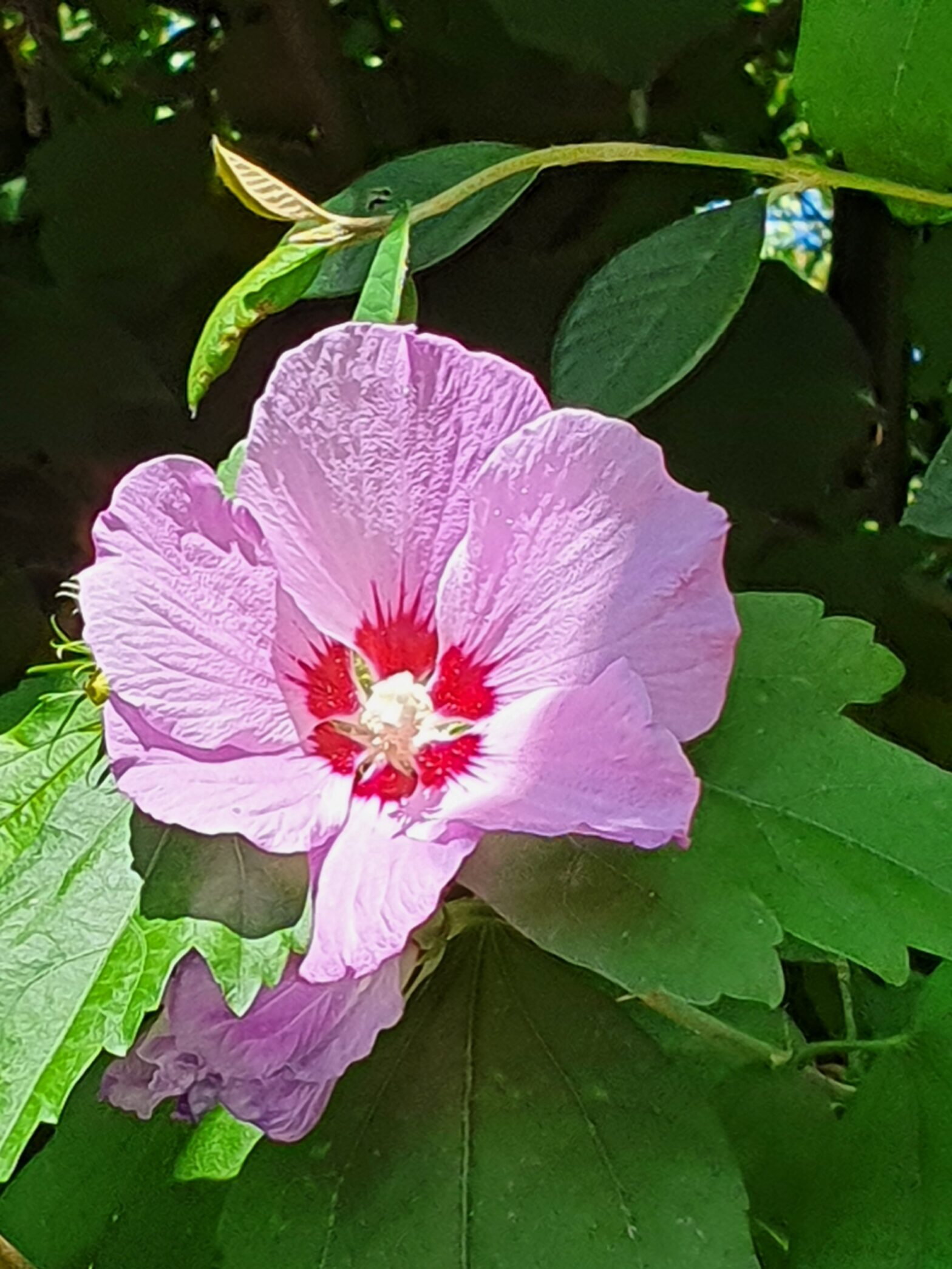 Au parc
