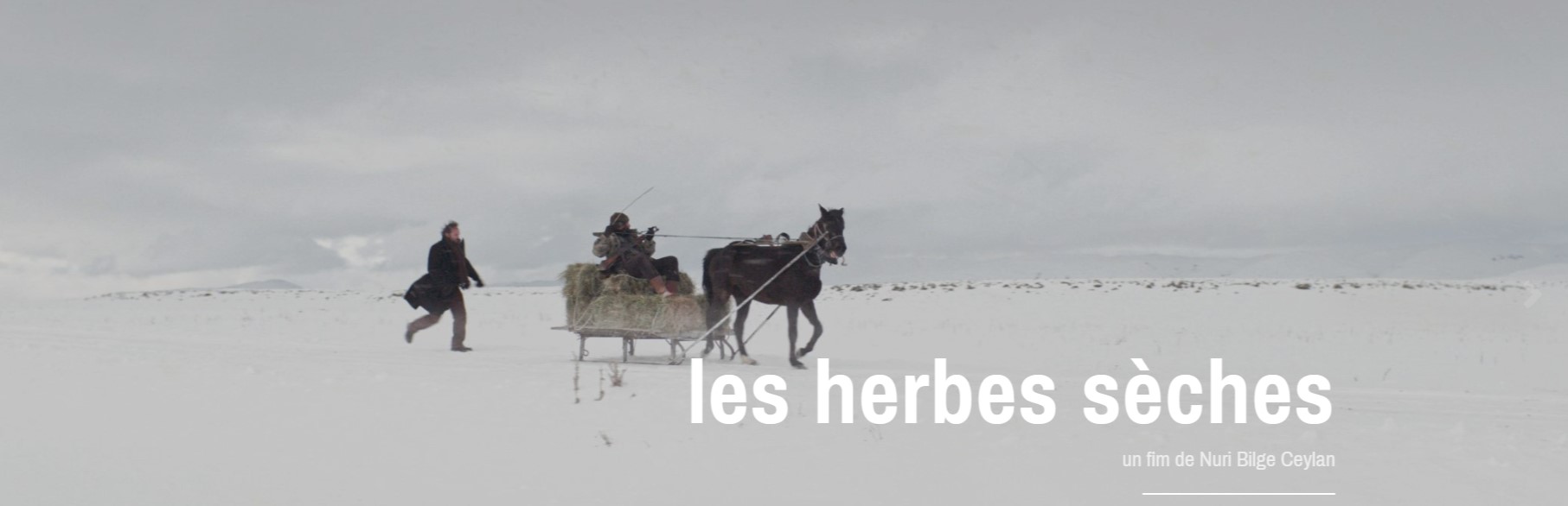 « Les herbes sèches » de Nuri Bilge Ceylan
