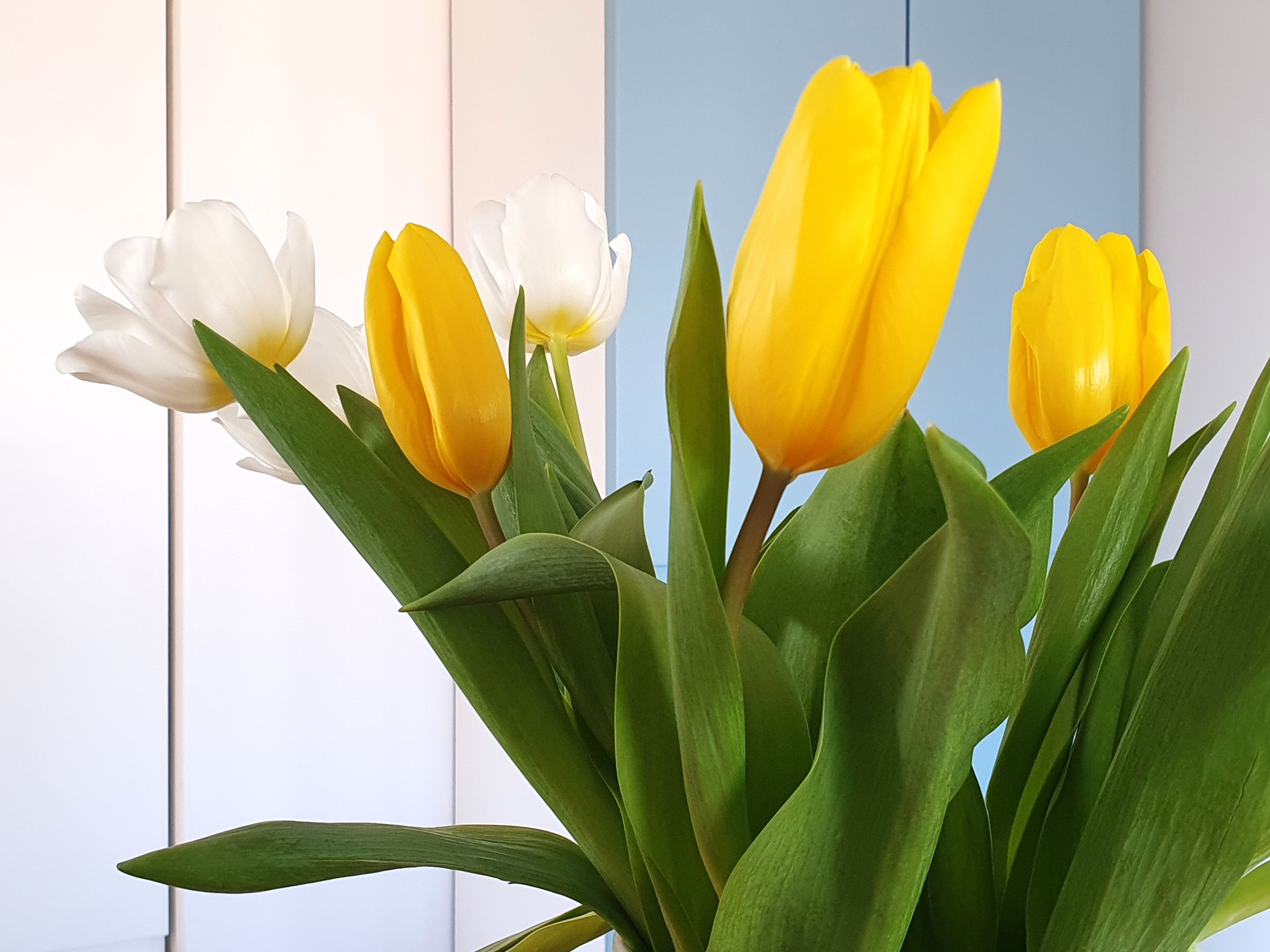 Le printemps s&rsquo;annonce